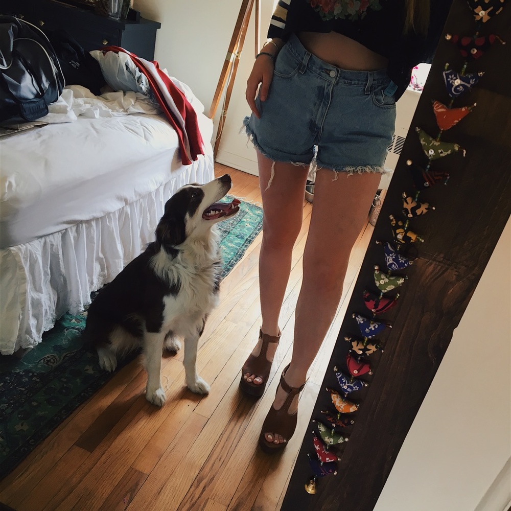 ☆ Levi Cutoff Shorts aka Babe Denim ☆
